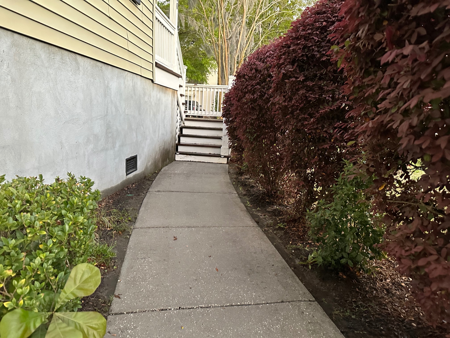 Walkway Cleaning after cleaning