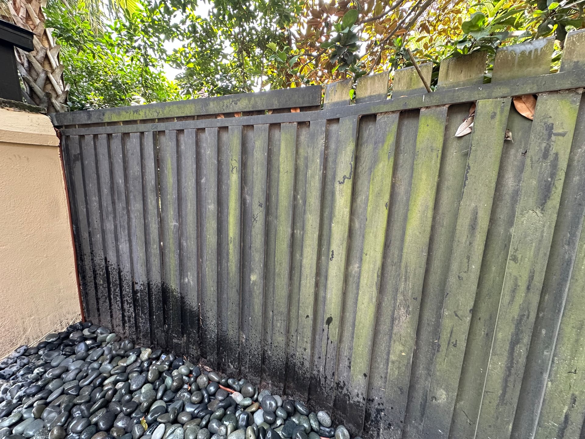 Fence Cleaning before cleaning
