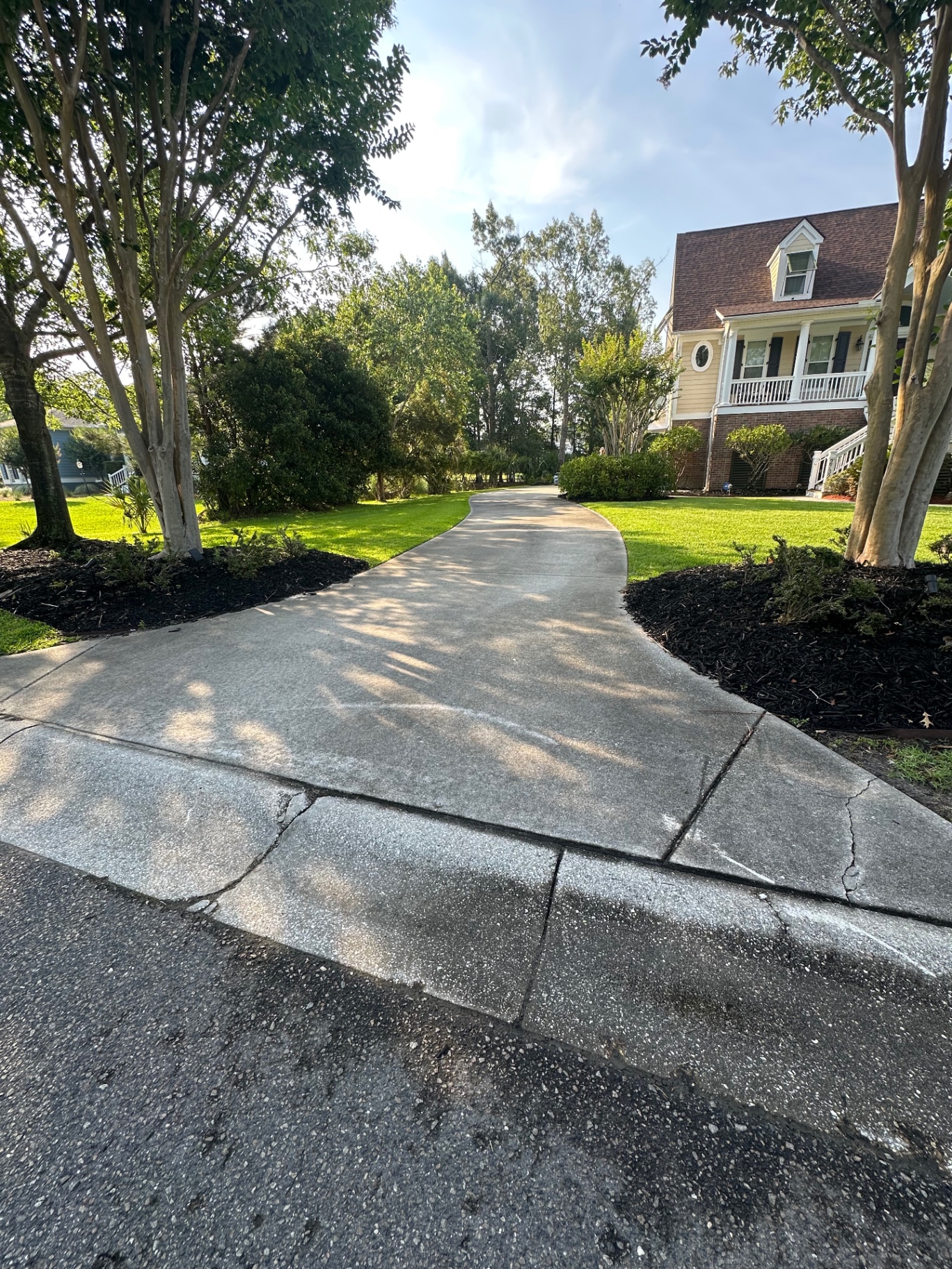 Driveway Cleaning before cleaning